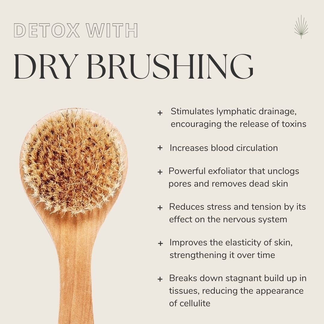 DRY BRUSHING 101 //

We love this ancient practice for its many healing benefits, from improving the skin's vitality to ridding the body of toxins. 

Dry brushing activates the natural cleansing processes of the body by stimulating lymphatic drainage