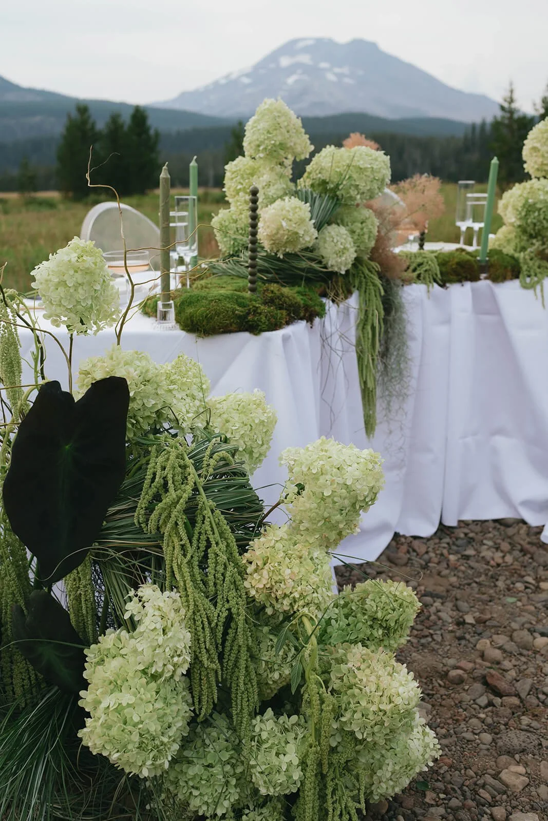 Oregon sustainable florist elopement table. Modern sculptural flower arrangements in textures of green with a mountain background.