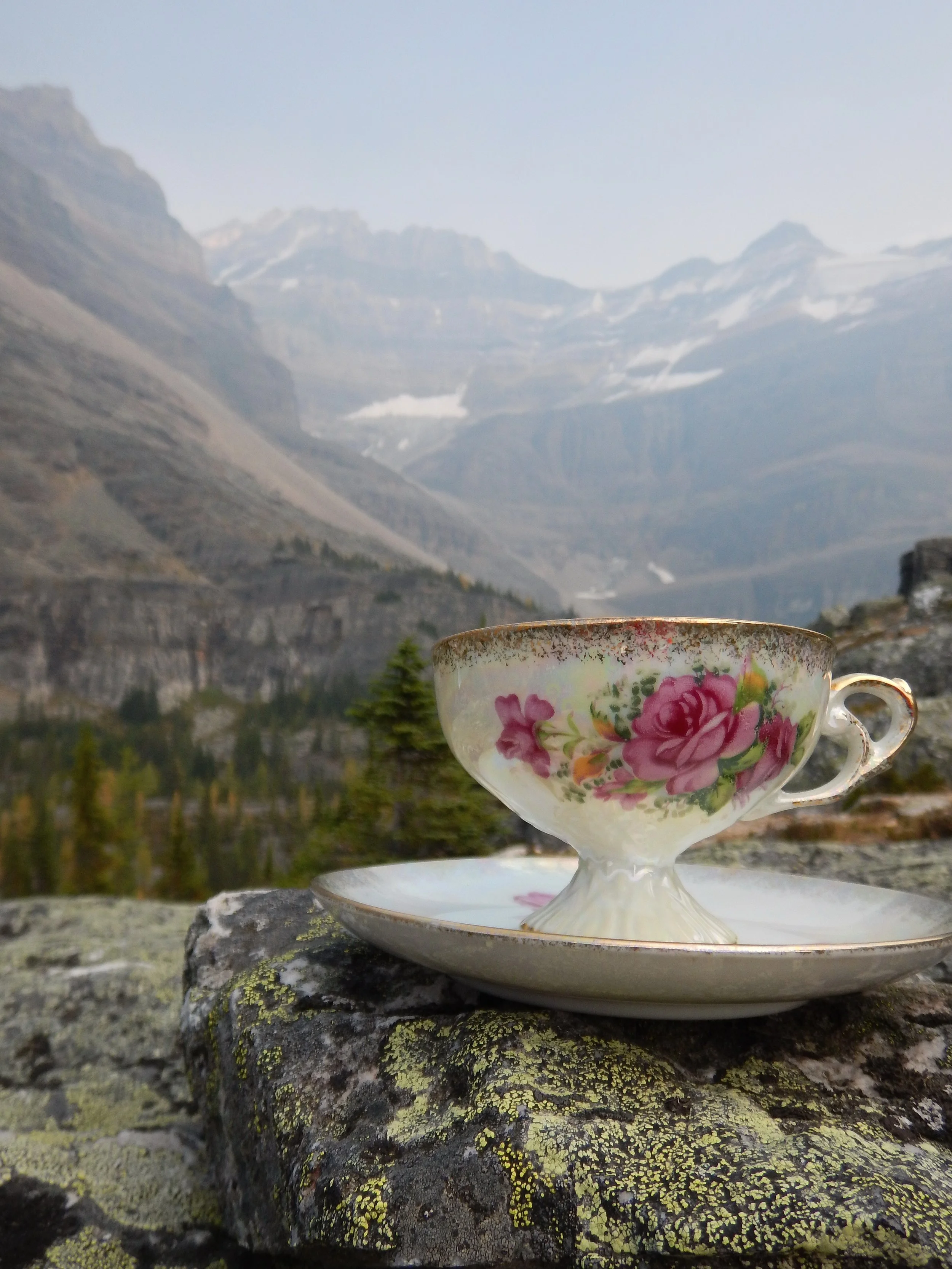 Teacup - Mountain