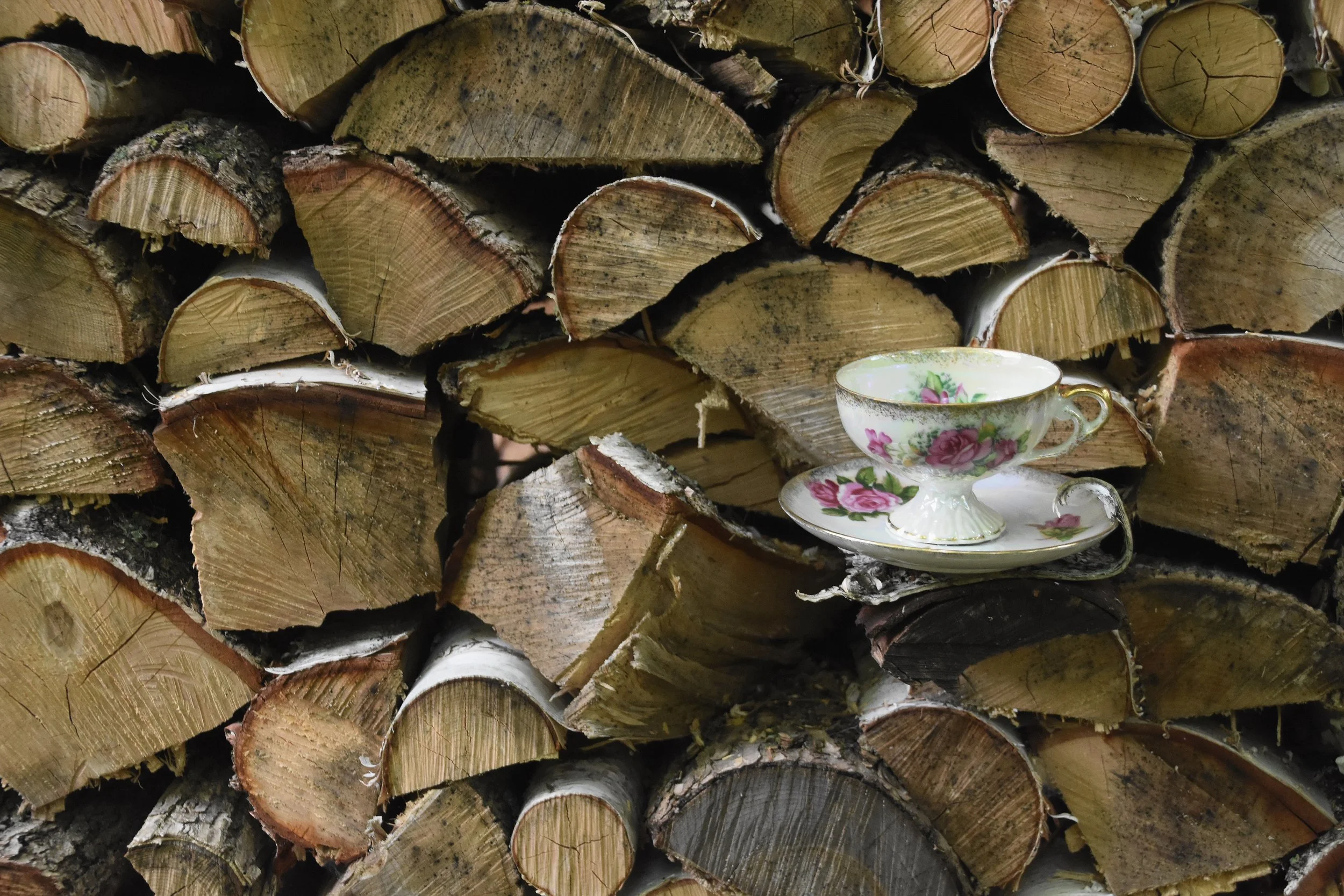 Teacup - Woodpile
