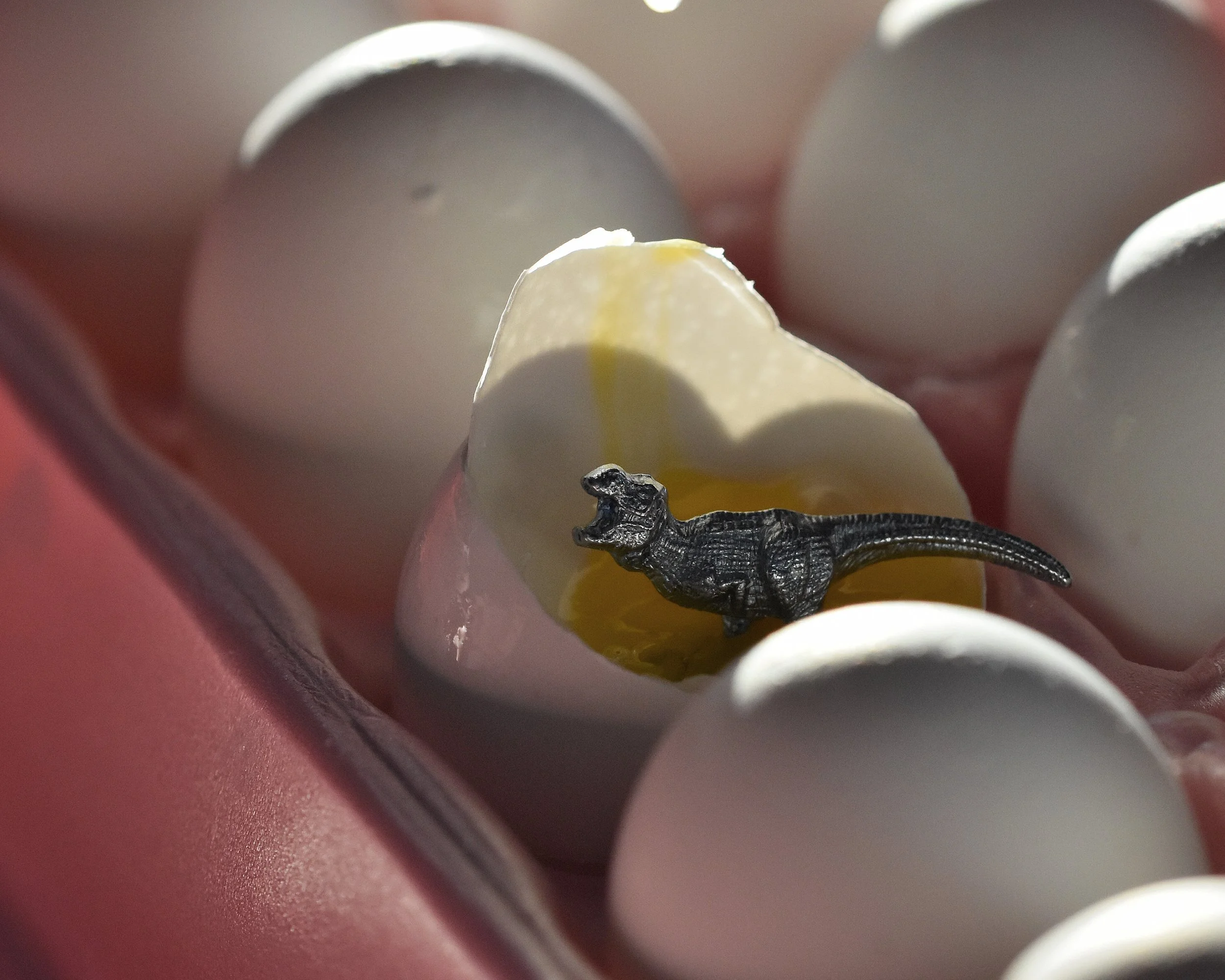 Monopoly - Tyrannosaurus