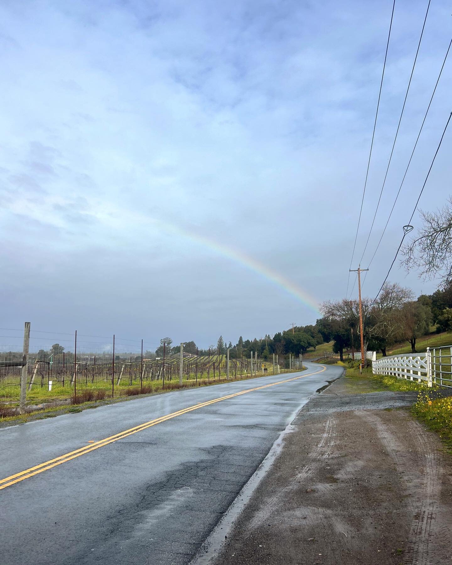 Today&rsquo;s Forecast: cloudy and rainy with a chance of rainbows 🌧️ 🌈

#winetours #sonomatours #chalkhillava #russianrivervalley #russianrivervalleyava #sonomacounty #healdsburgtours #healdsburgwinetours #sonomawinecountry #sonomawine #healdsburg