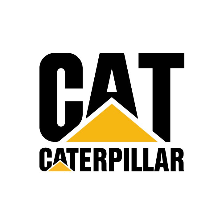 CAT.jpg