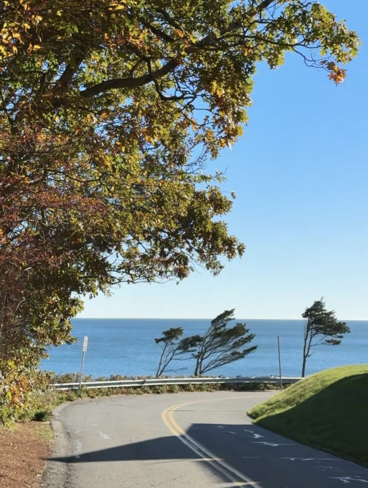 The Content Strategy I’m Using in 2026