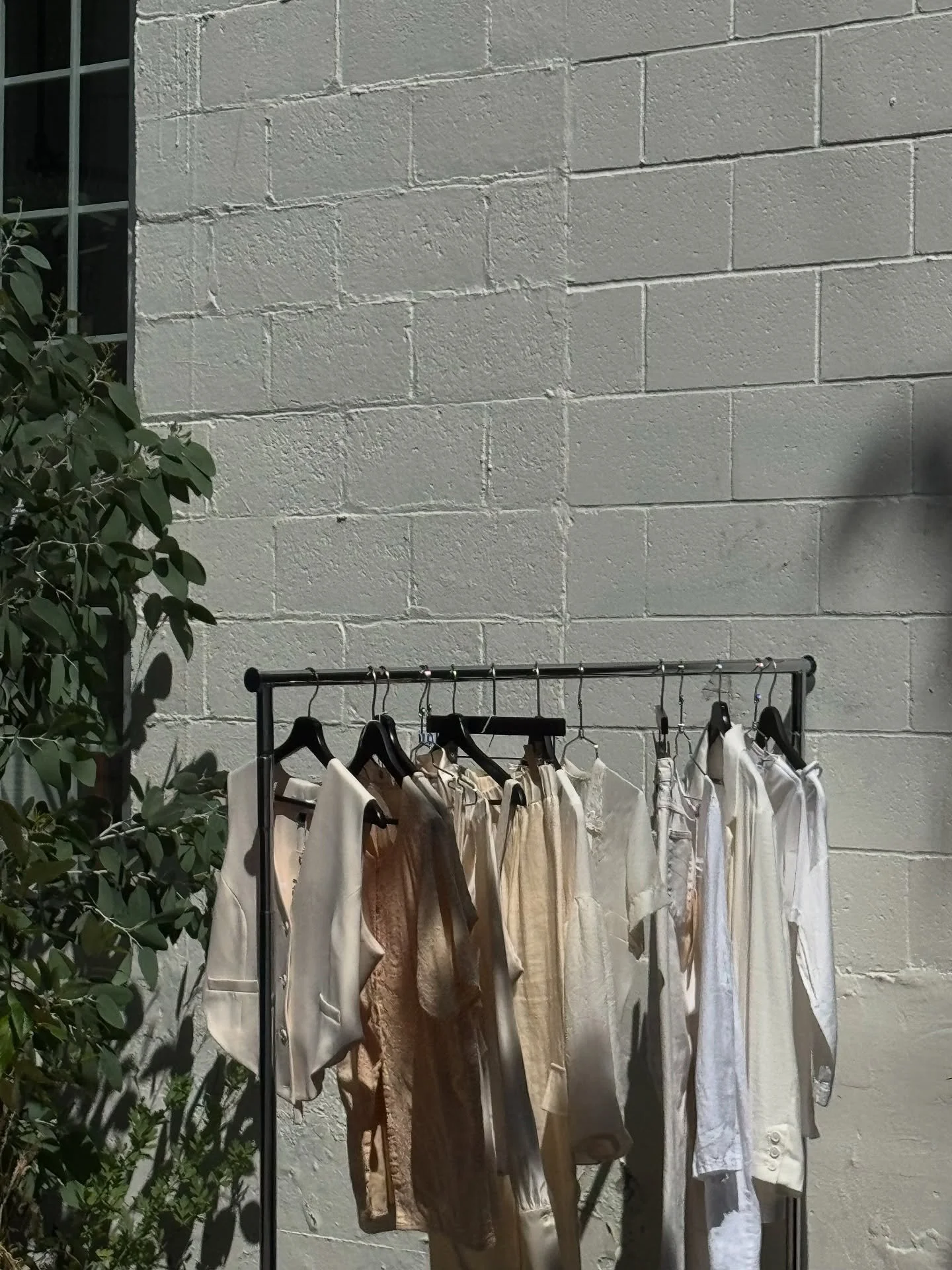 New neutrals now gracing the vintage rack and our eucalyptus is thriving.