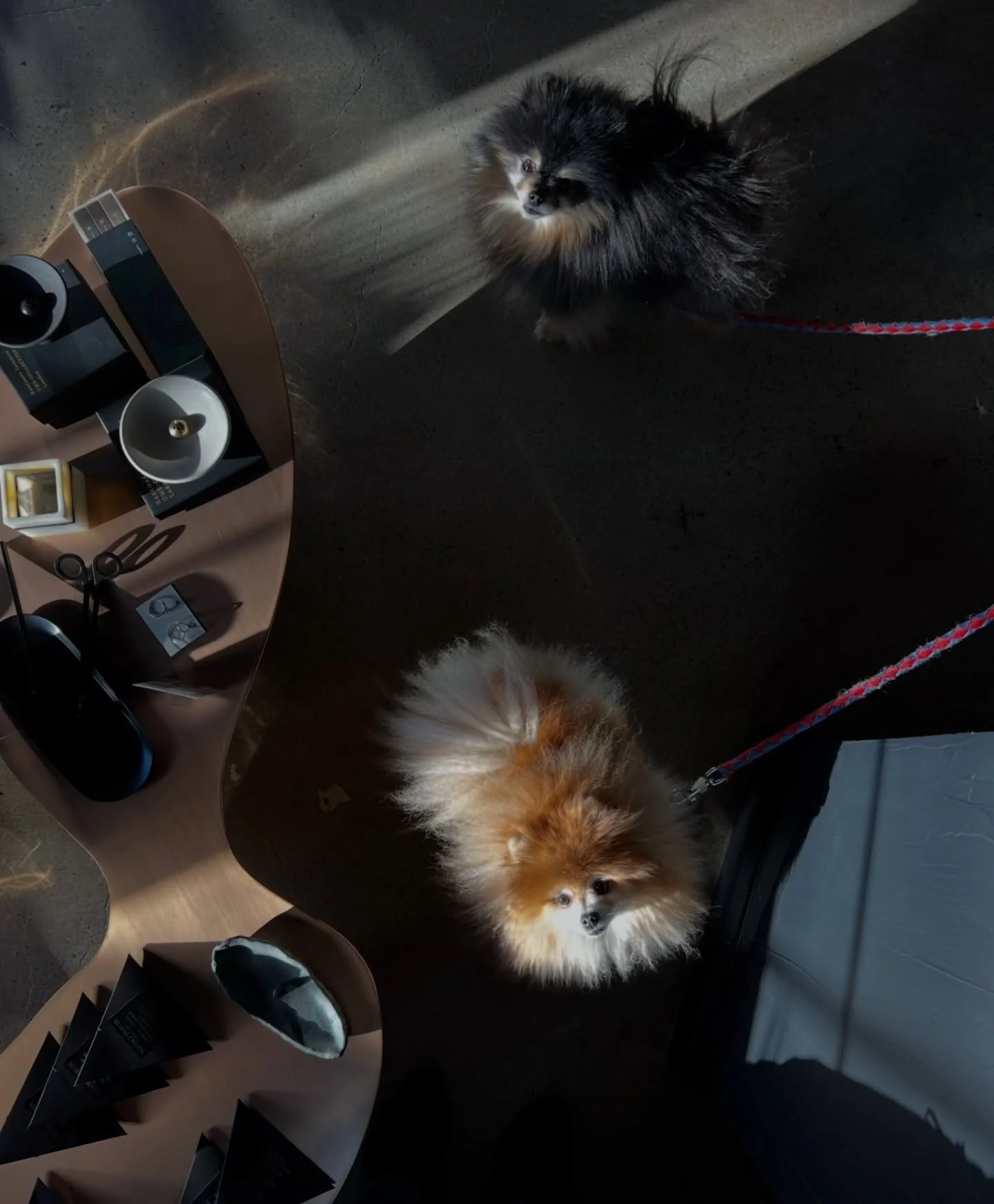 ONLY 3 MORE DAYS!!! Come by for the last few days of THE KOU SHOP! Everything is up to 40% off. Love these pics from our first few days. ❤️ OPEN 12-6 today.