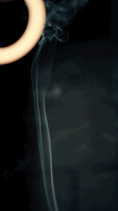 2024-03-06 18:32:25 +0000.GIF