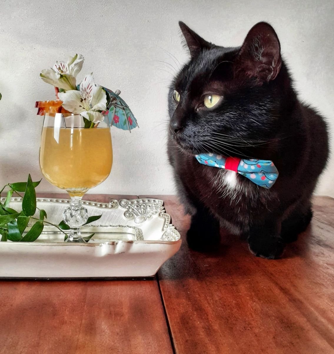 Mixologist Q&A: Katherine