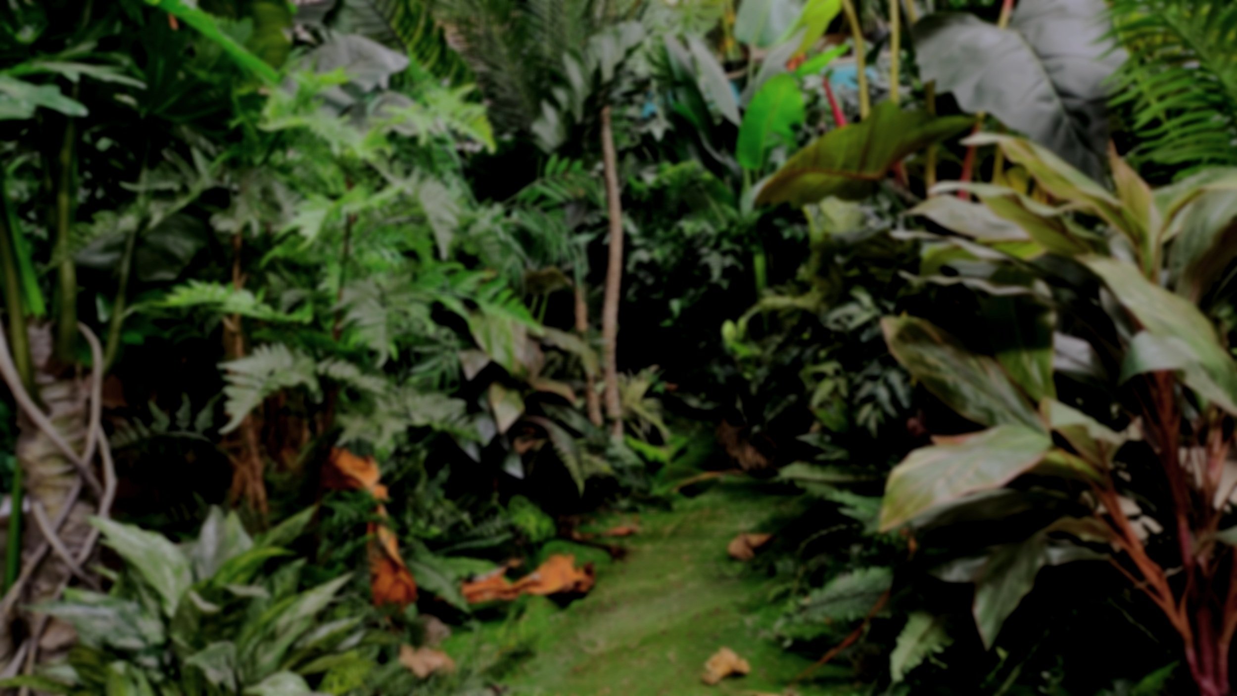 Portfolio — Green Sets Inc.