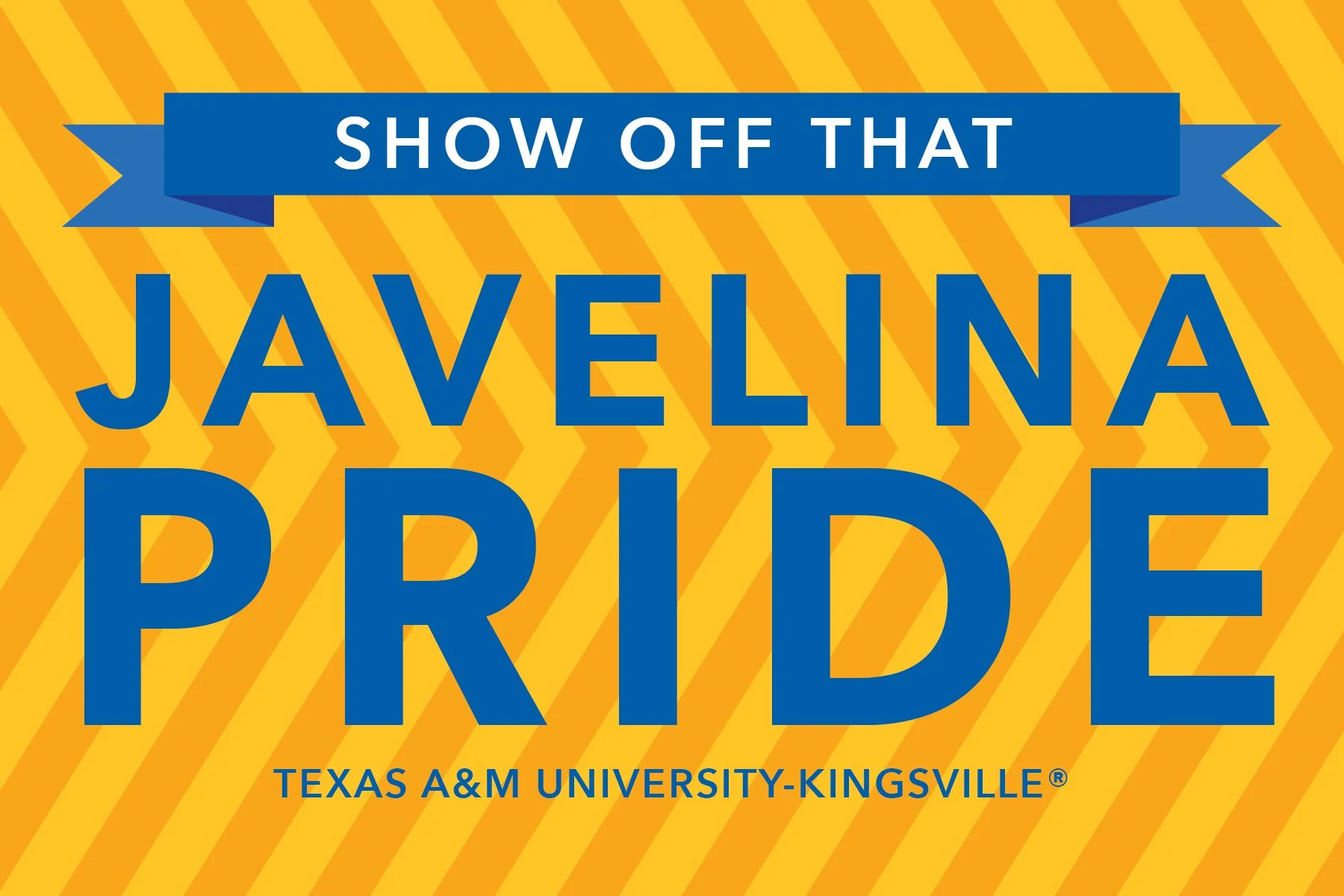 Car decal Card copy.jpg