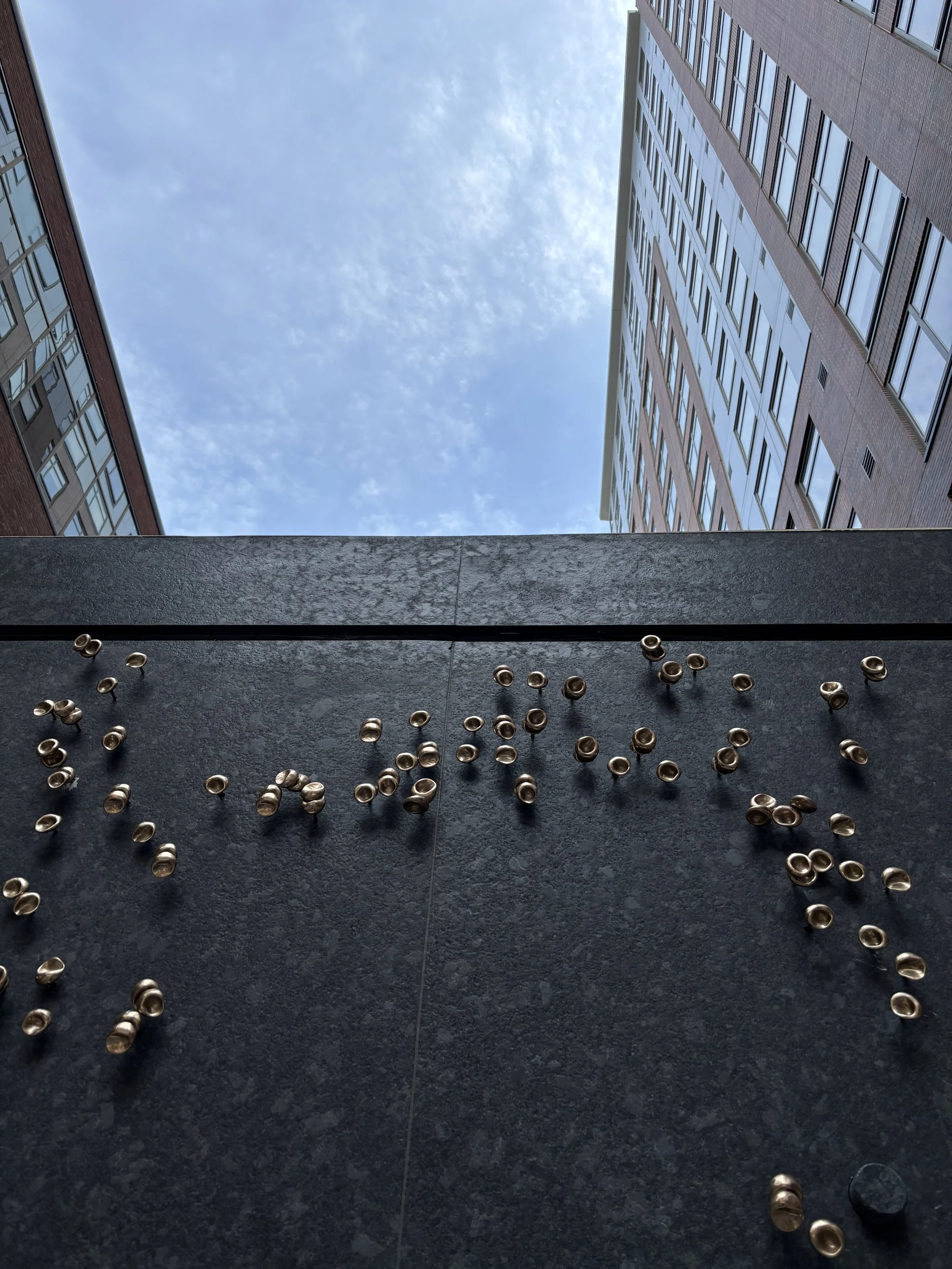 Photo May 15 2025, 11 13 53 AM.jpg