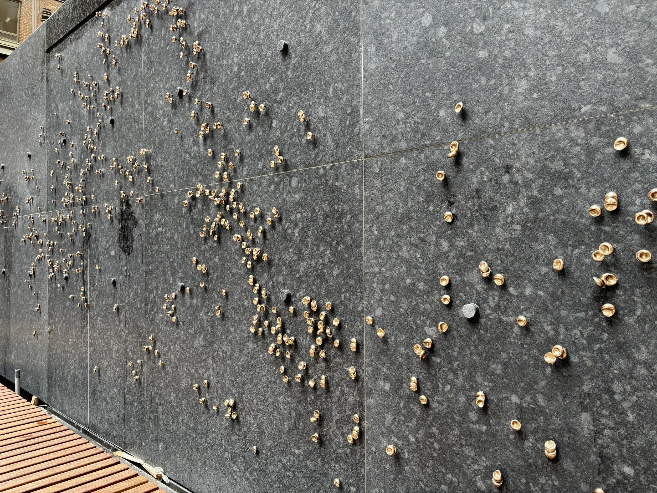 Photo May 15 2025, 2 00 53 PM.jpg