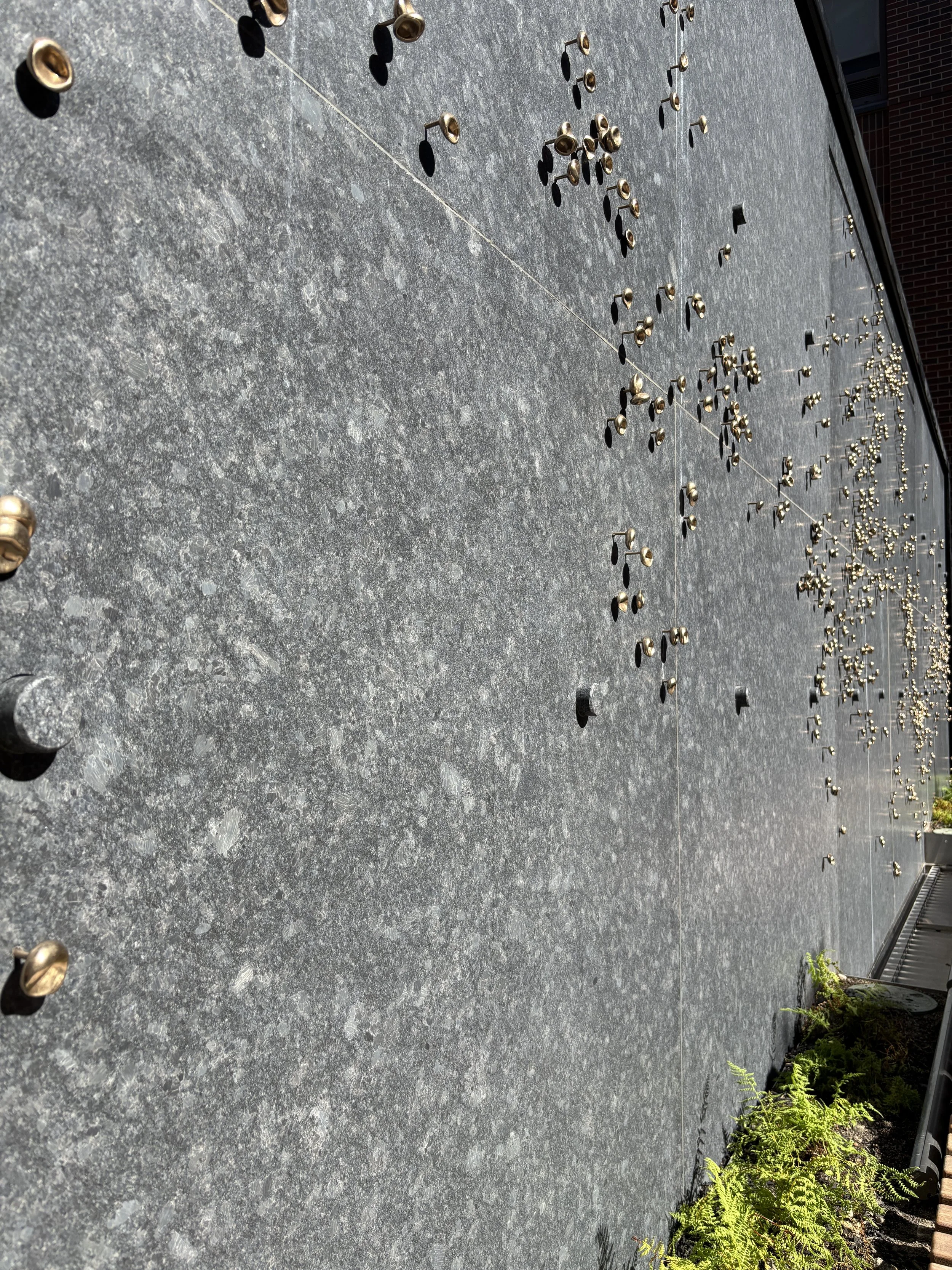 Photo Sep 02 2025, 3 17 56 PM.jpg