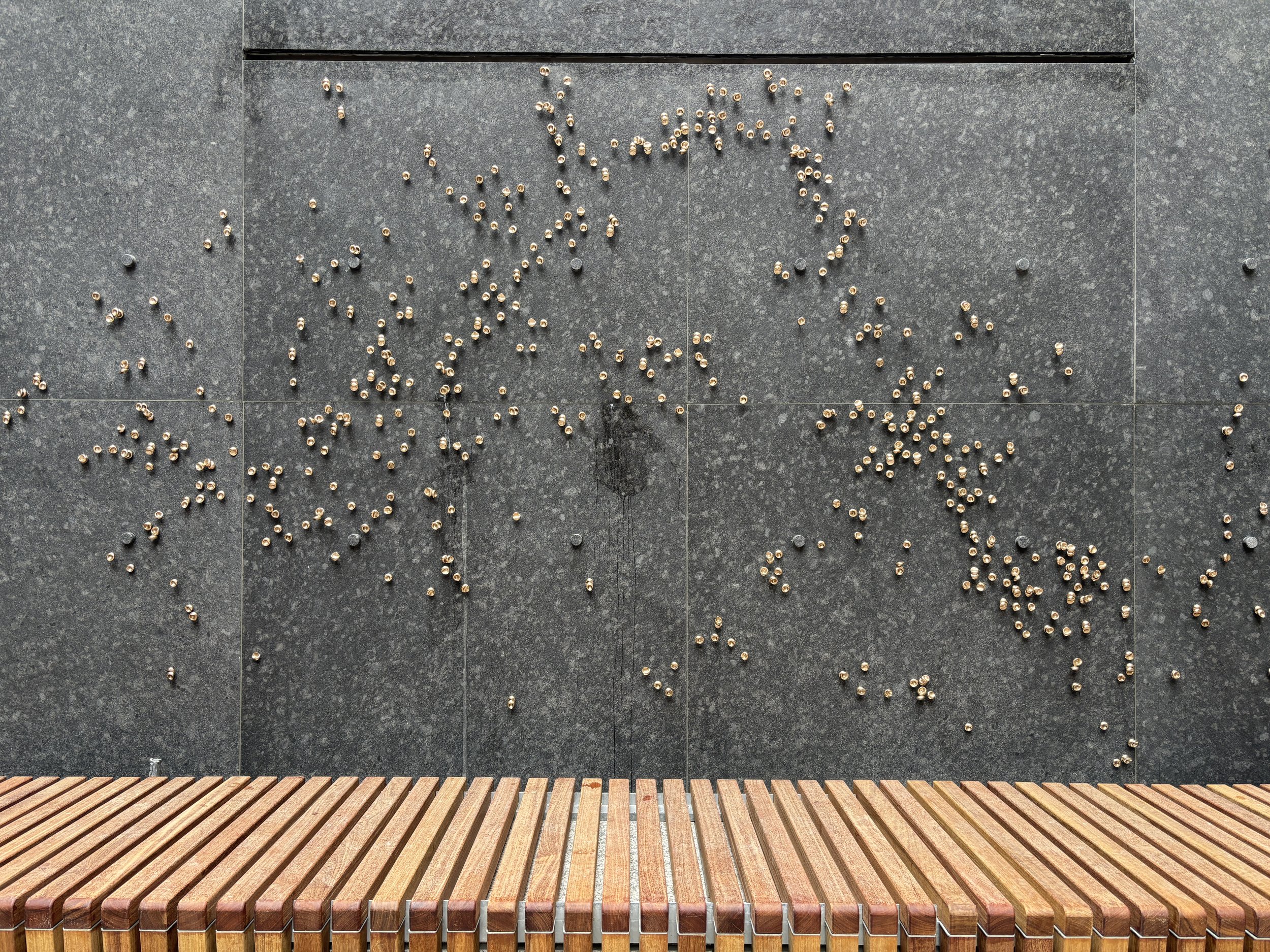 Photo May 15 2025, 2 00 47 PM.jpg