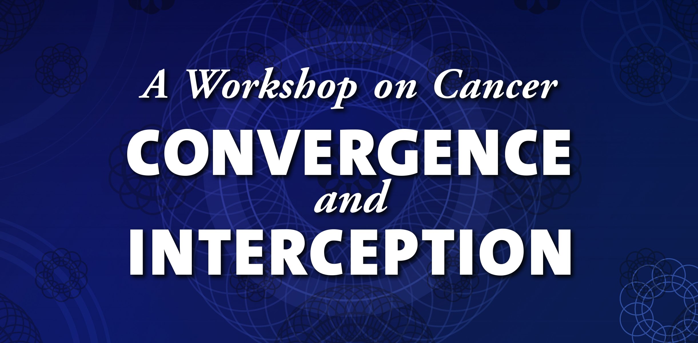 Virtual Meeting Screen (example 8 of 8) with Logo for Academic Cancer Workshop – designed and produced by SP STUDIOS.
