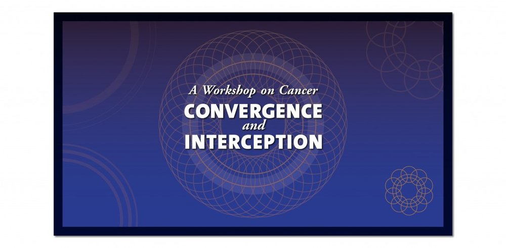 Virtual Meeting Screen (example 1 of 8) with Logo for Academic Cancer Workshop – designed and produced by SP STUDIOS.