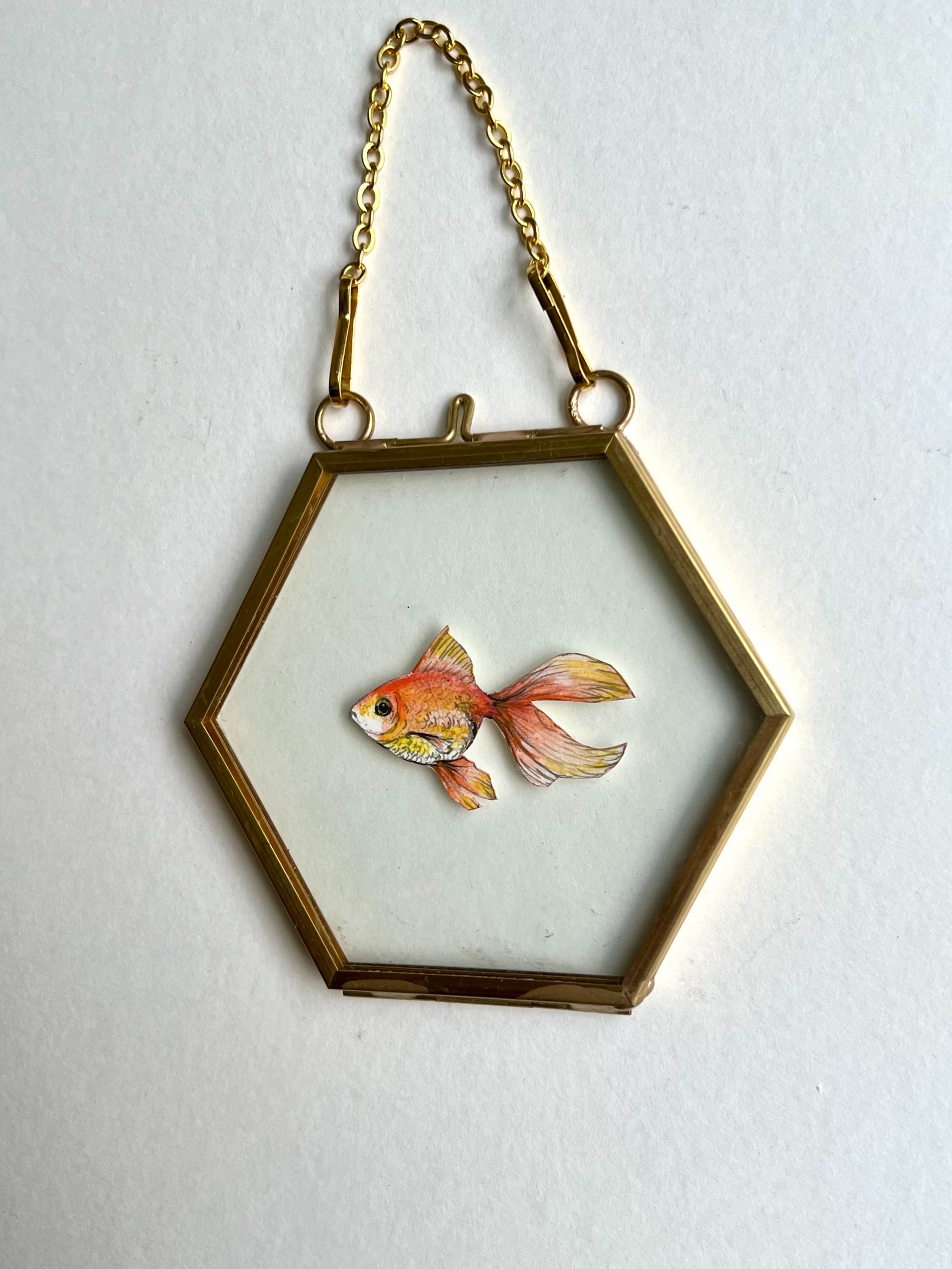 Goldfish in Floating Frame
