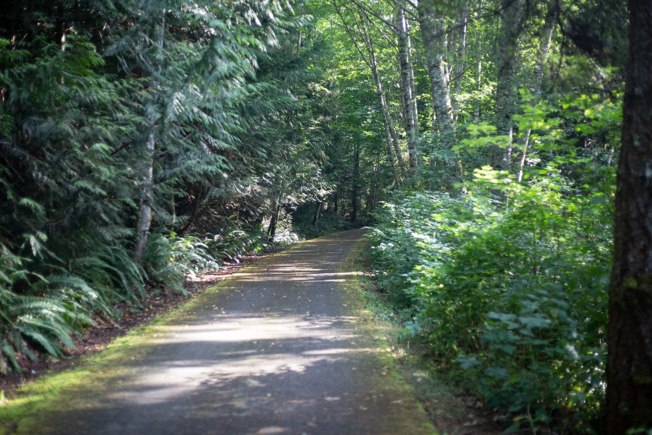 PNW (12 of 113).jpg