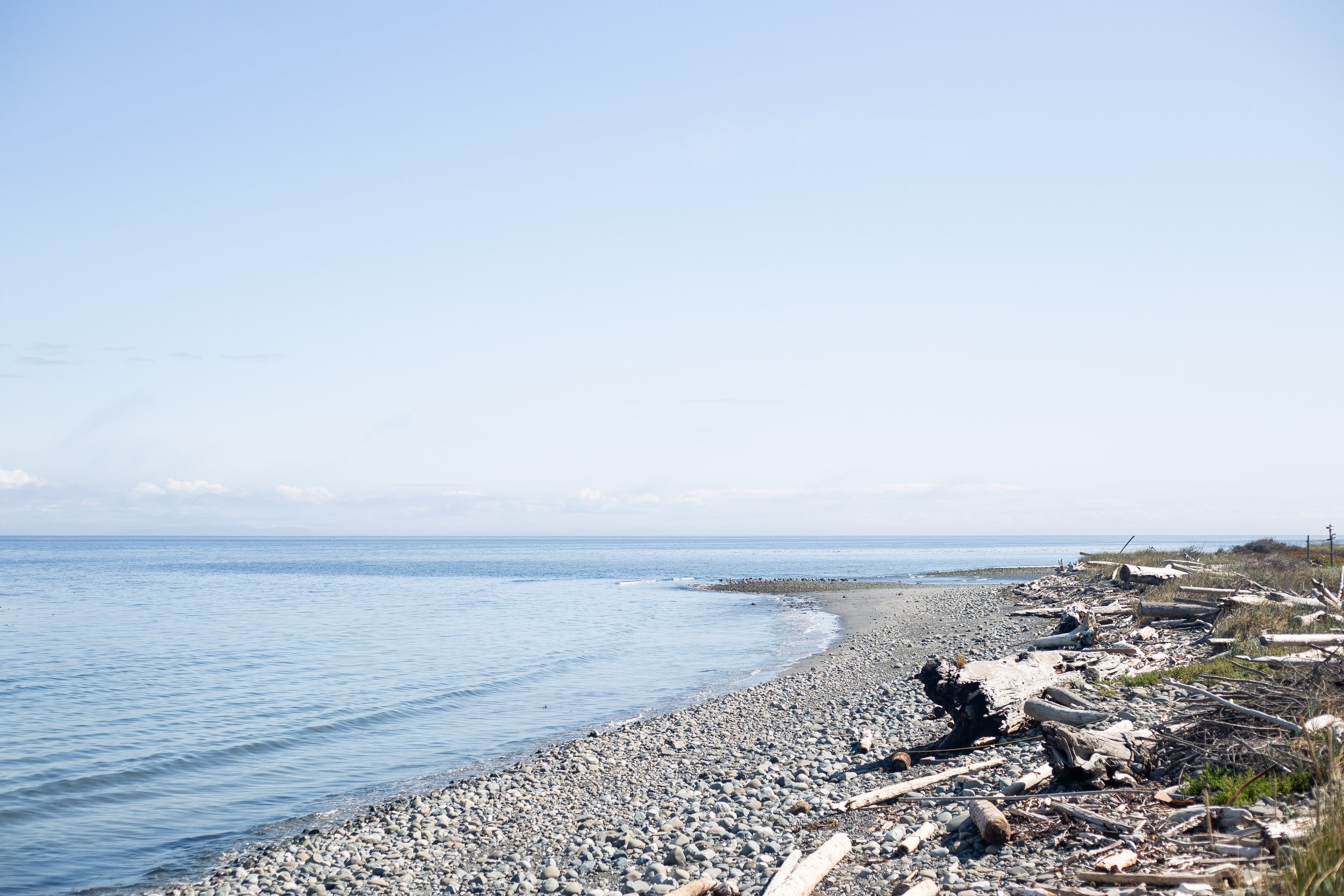 PNW (43 of 113).jpg