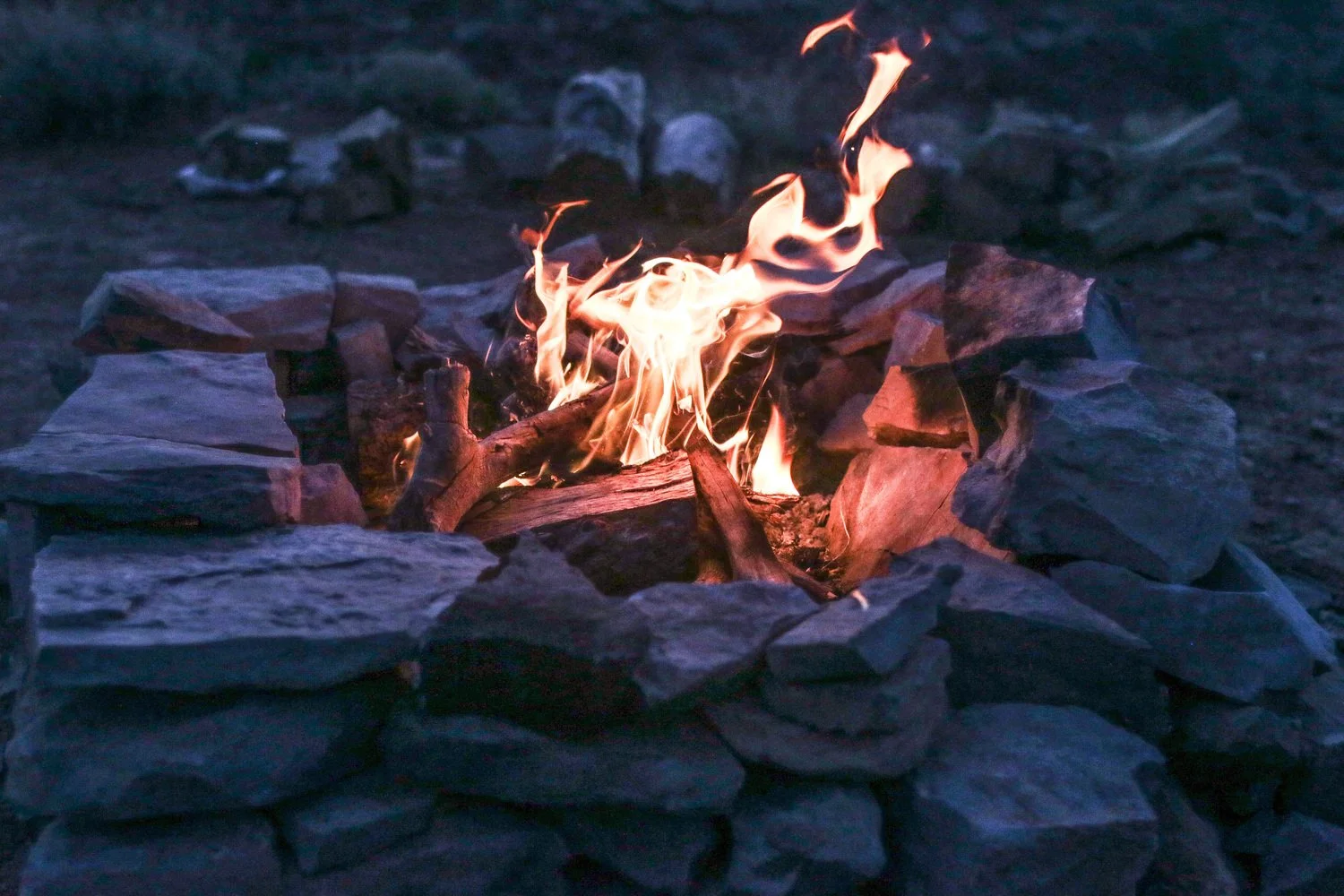 image-asset (3).jpeg