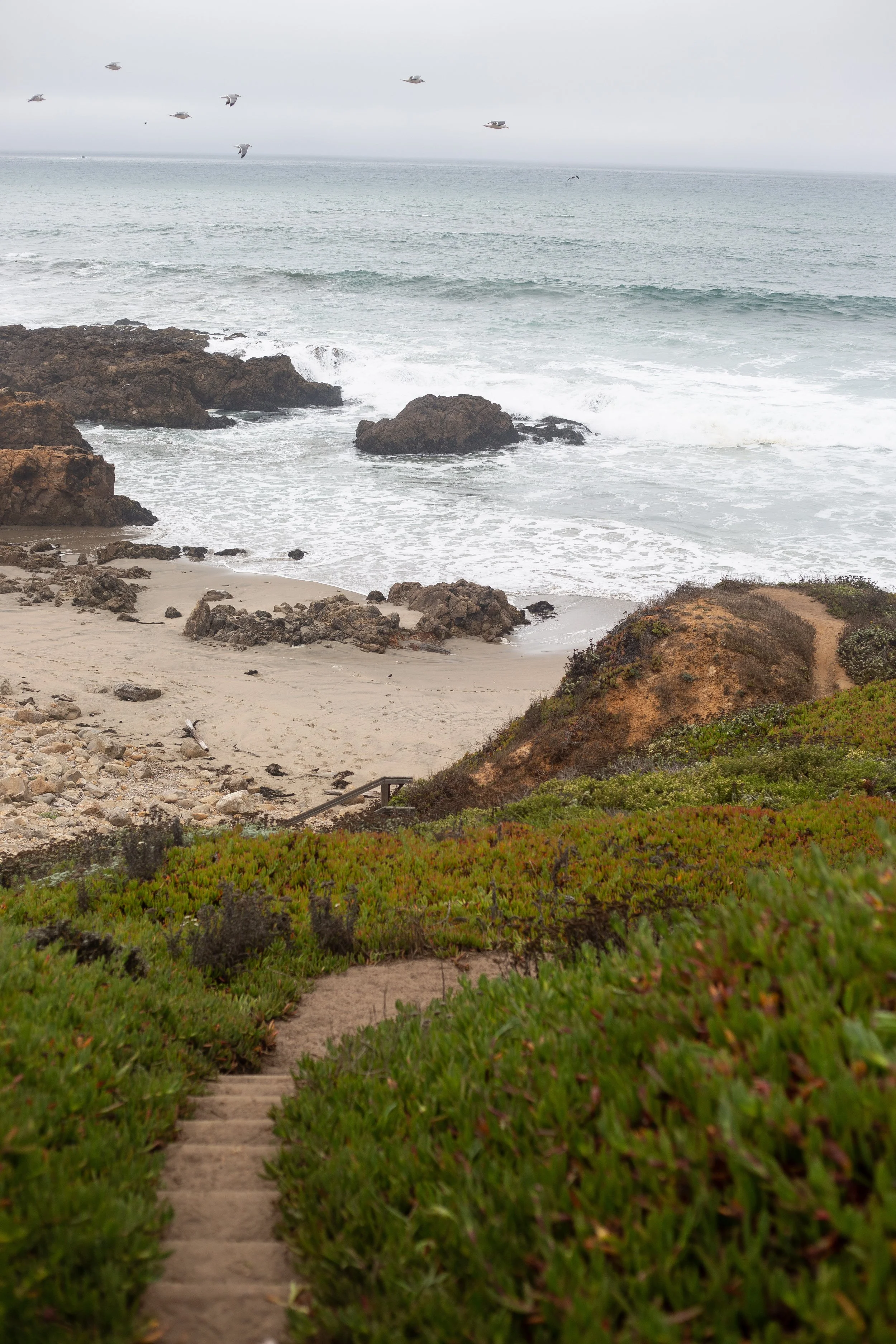 CaliTour (44 of 66).jpg