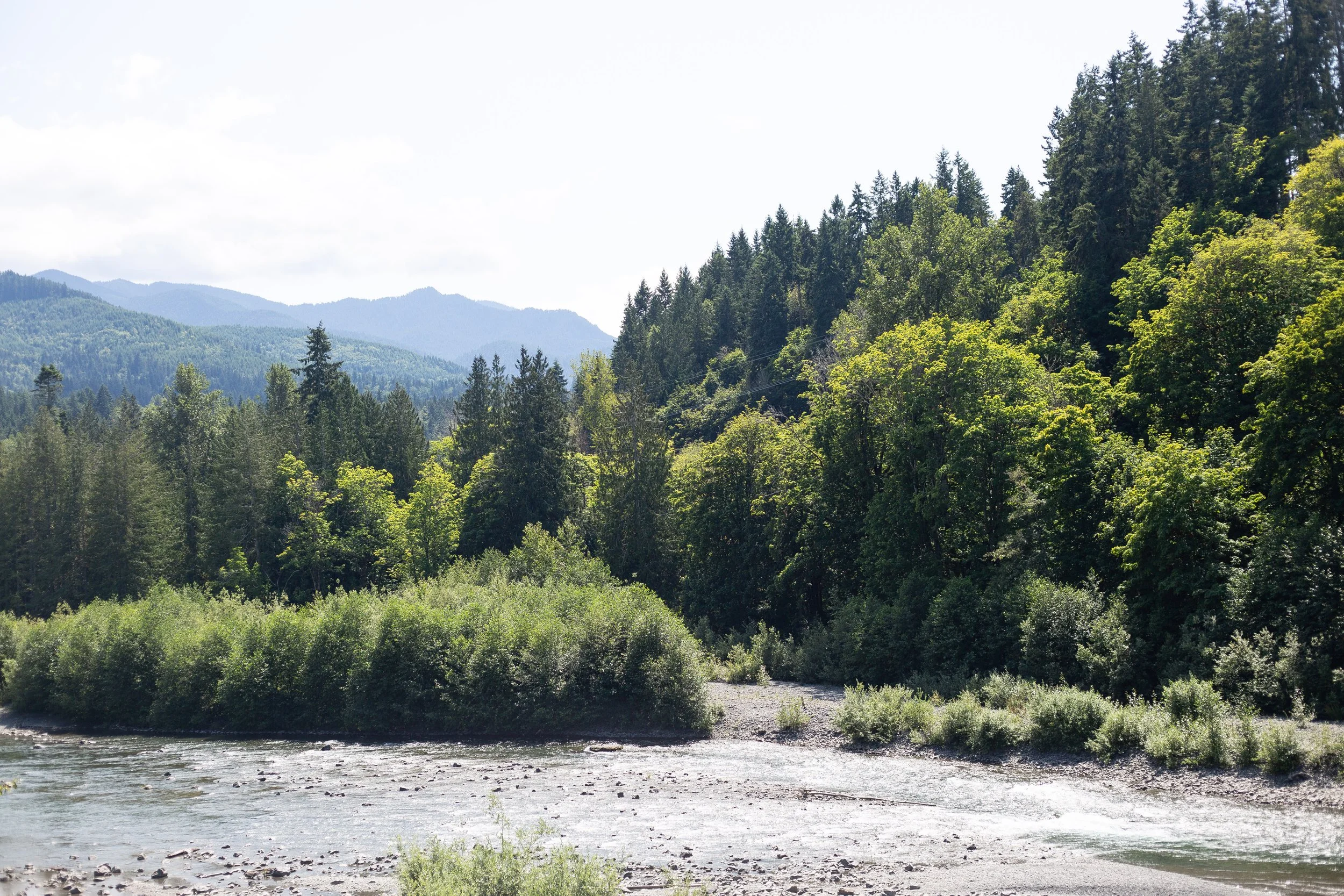 PNW (49 of 113).jpg