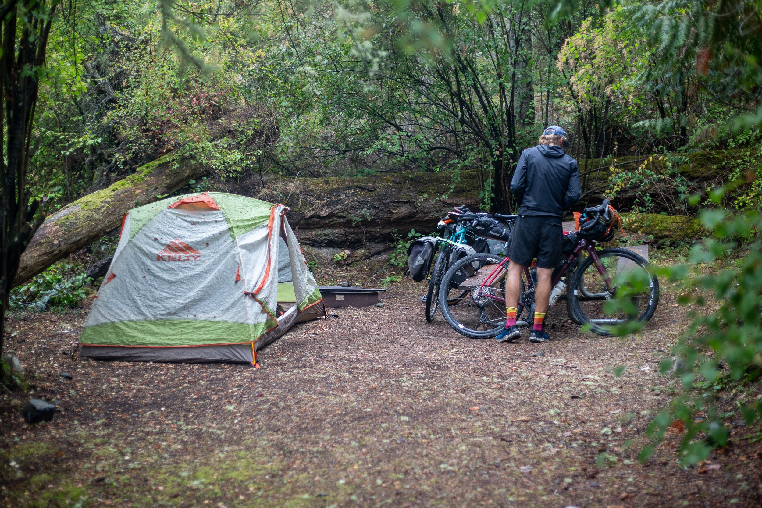 PNW (4 of 113).jpg