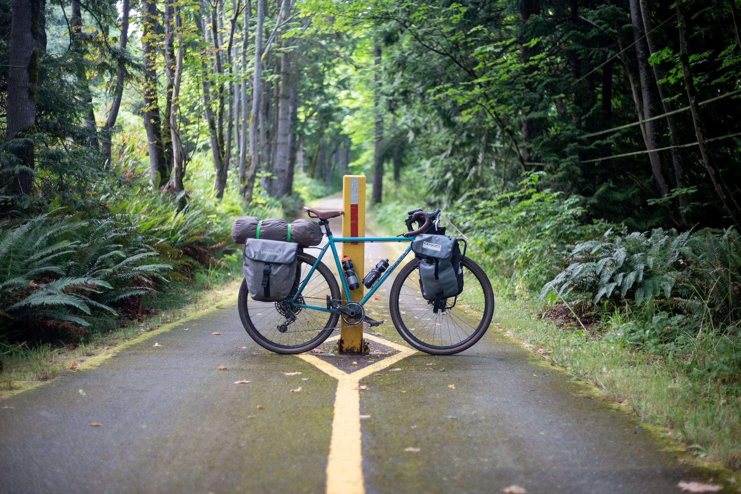 PNW (15 of 113).jpg