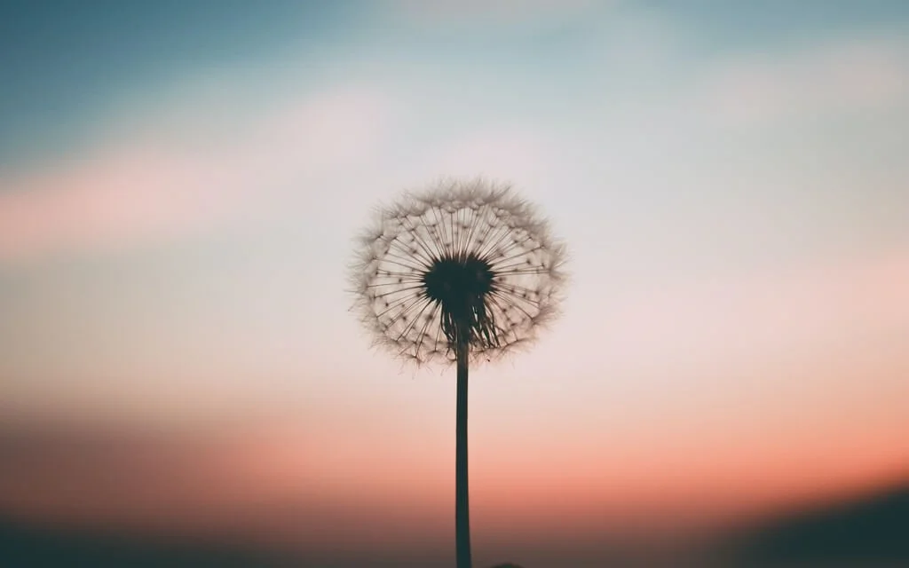 vanesa michele breathe.jpeg