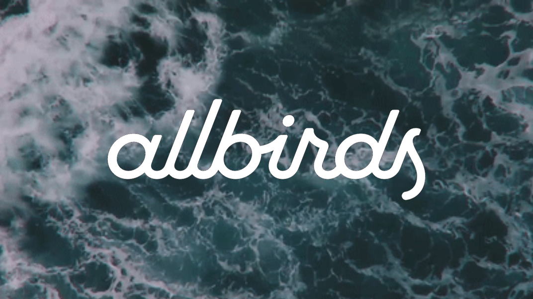 allbirds-.png