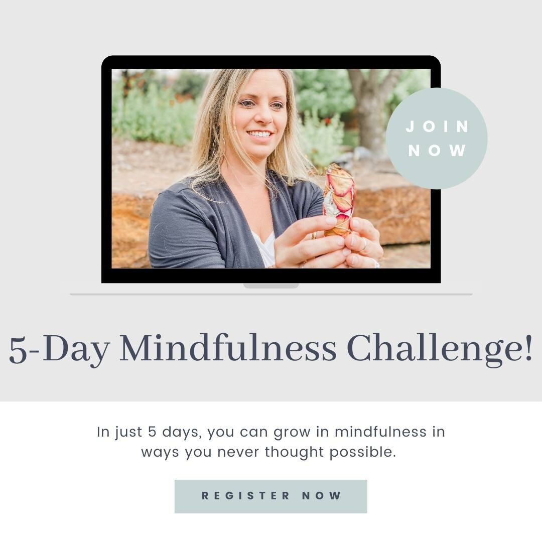 It breaks my heart when I see people who just can&rsquo;t be mindful. Who can&rsquo;t be fully PRESENT. Who aren&rsquo;t truly AWARE of themselves. So, I created a totally FREE 5-Day Mindfulness Challenge. 

Each day, you&rsquo;ll receive a simple ch