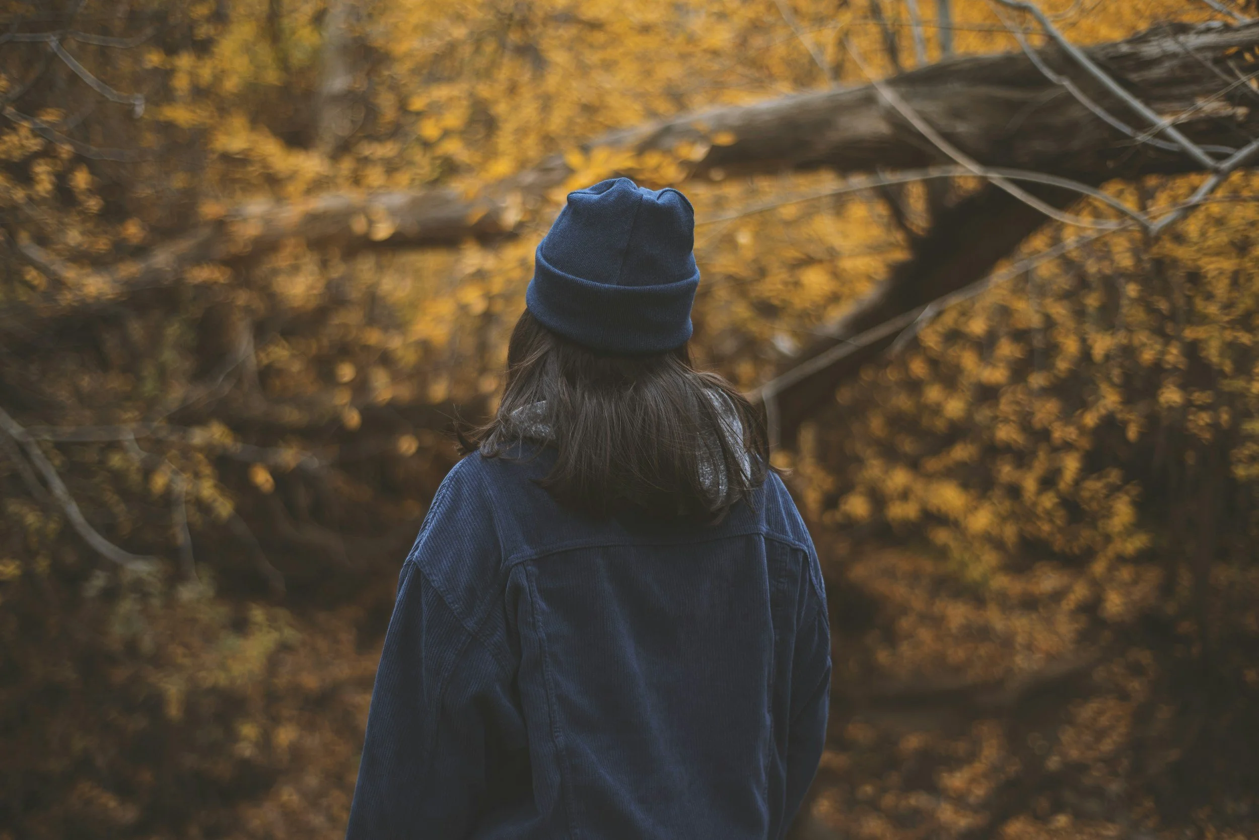 woman standing with back to the camera wearing a hat and sweatshirt outside in the autumn woods. She could be thinking about stress, burnout, or trauma response.