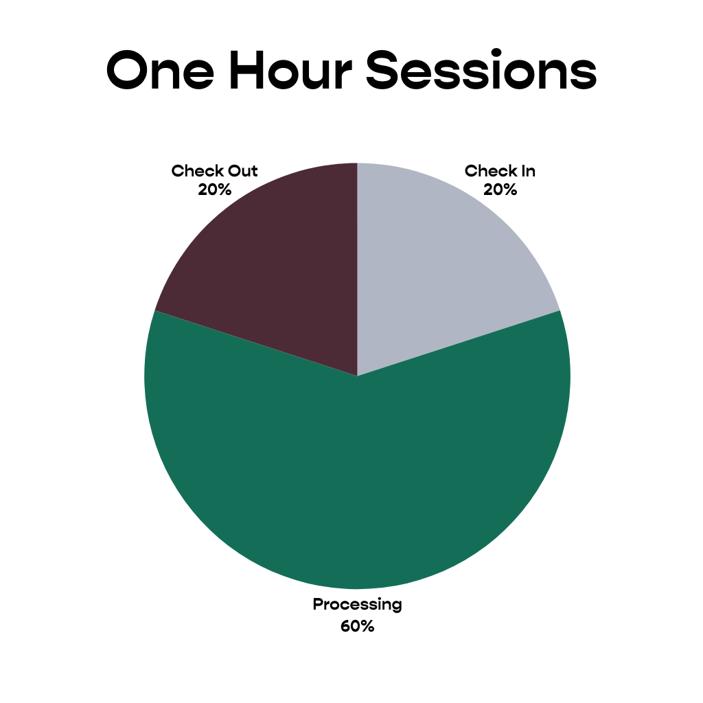 Pie graph showing how time is divided in a typical one our therapy session. 20% of time is spent on checking in, 60% of time is spent processing, and 20% of time is spent checking-out.