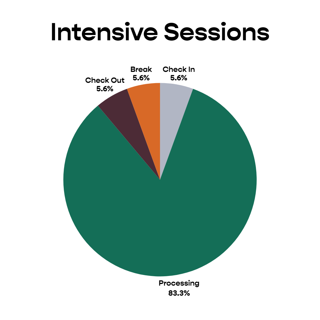 Pie chart show how therapeutic time is divided in an intensive EMDR sessions. 5.6% is spent in check-in. 5.6% spent on a break. 83.3% of time is spent processing. 5.6% of time is spent on check-out.