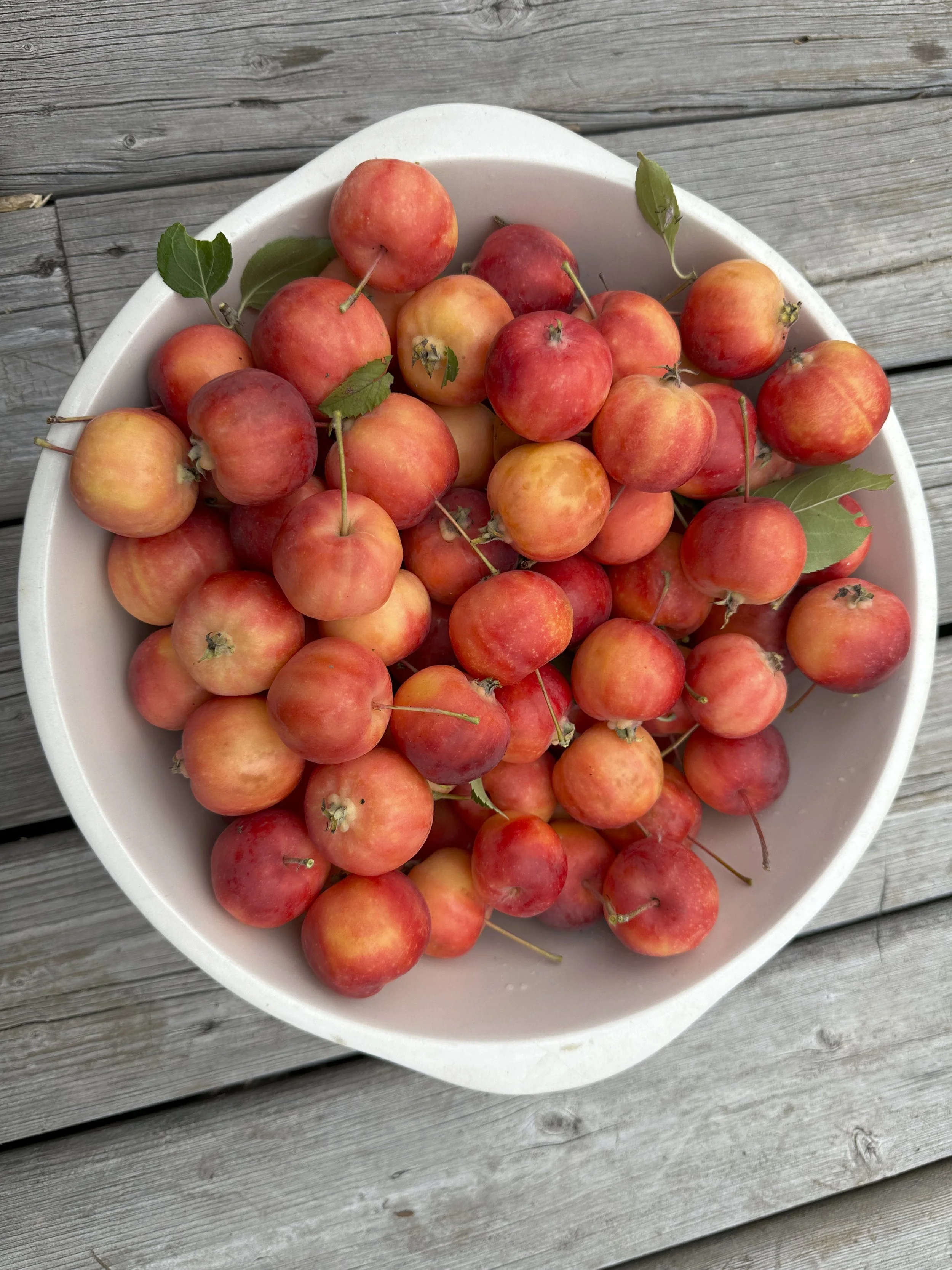 crabapples.jpeg