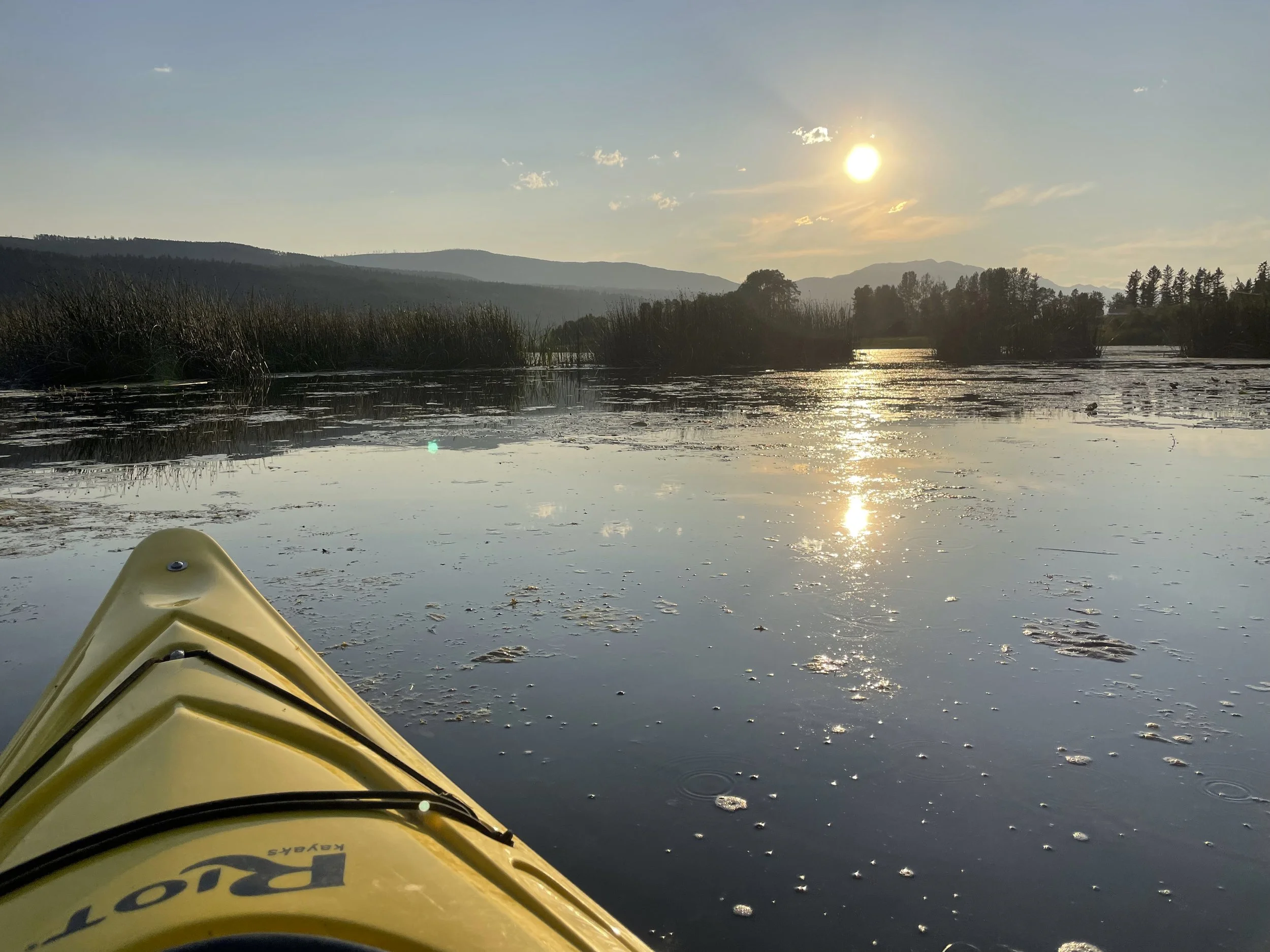SummerEveningKayak.jpeg