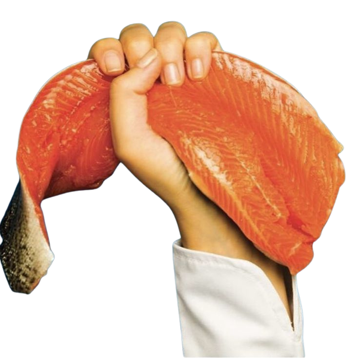 Hand holding a fresh salmon fillet — local seafood grocery store Tofino BC