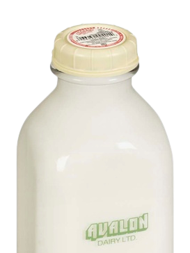 Avalon Dairy fresh cream — exclusively available at Neighbours grocery store Tofino BC