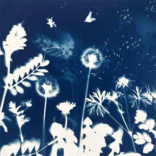   Tanja Kopper  
cyanotype, photography 
938/940 Tyler Street, Studio 3A1B