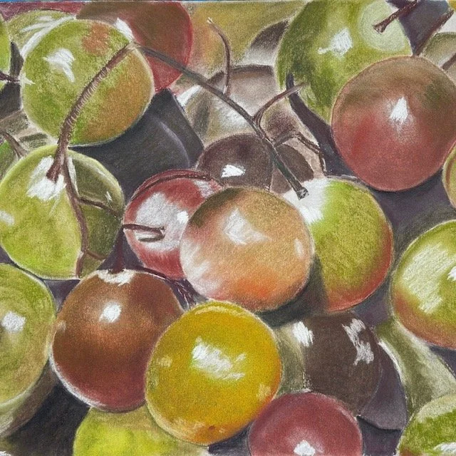   Andrew Harding  
 Guest Artist   
pastel, painting, prints 
938/940 Tyler Street, Studio 203