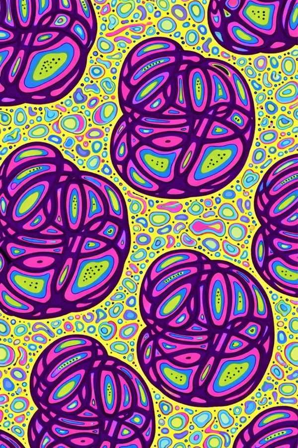   Morgan Crittendon   
mixed media 
940 Tyler Street, Studio 30A