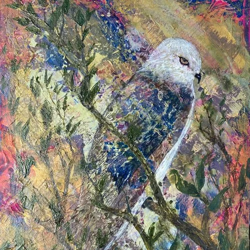   Erika Von Zoog   
painting, kilnformed glass 
991 Tyler Street, Studio 111