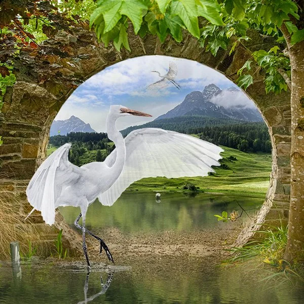   Peg Jackson   
collage art, assemblage, encaustic, jewelry
 
940 Tyler Street, Studio 17