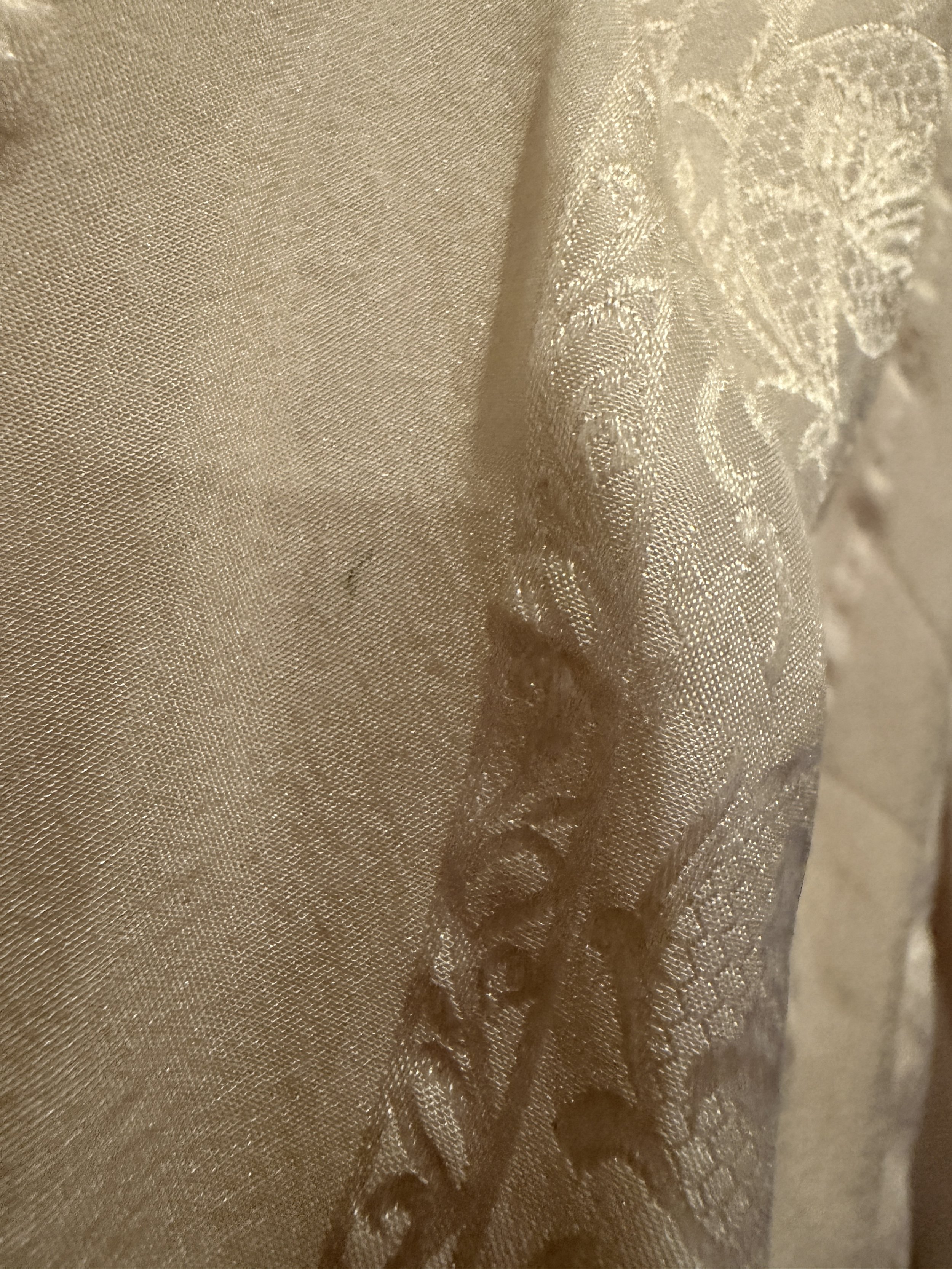 THe Haunting Nell Death Dress Spot 1.JPG