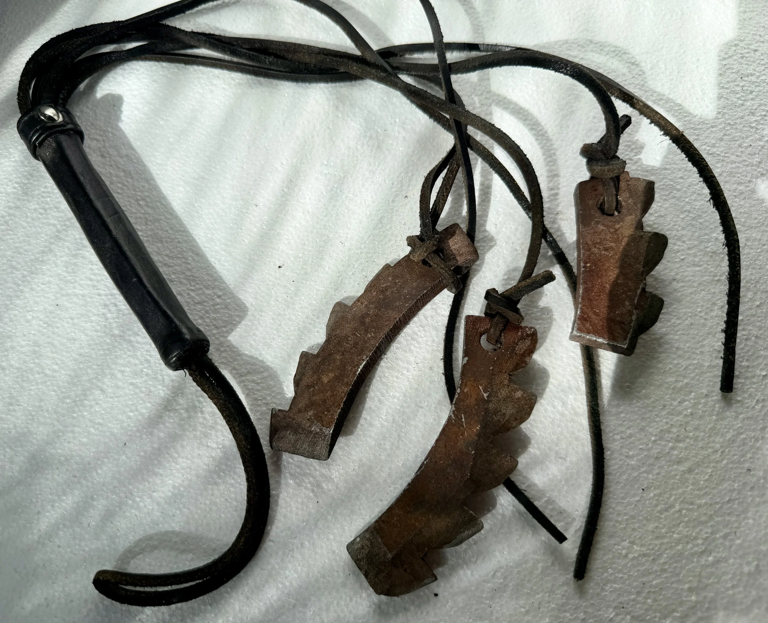 Sabrina Infernal Bailiff Whip. 3.JPG