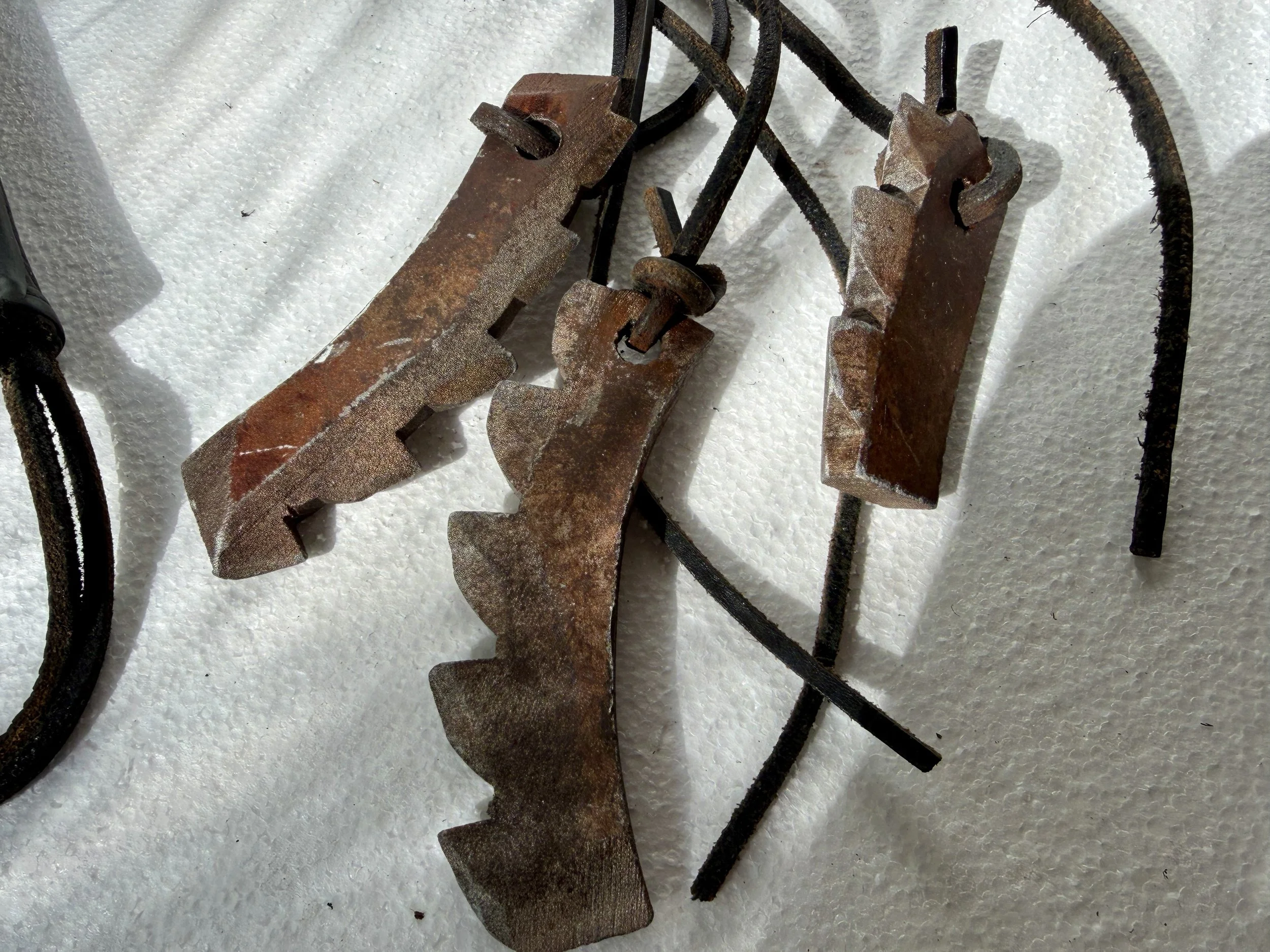 Sabrina Infernal Bailiff Whip. 1.JPG