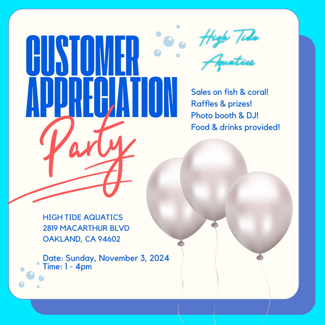 Customer Appreciation Party! — High Tide Aquatics