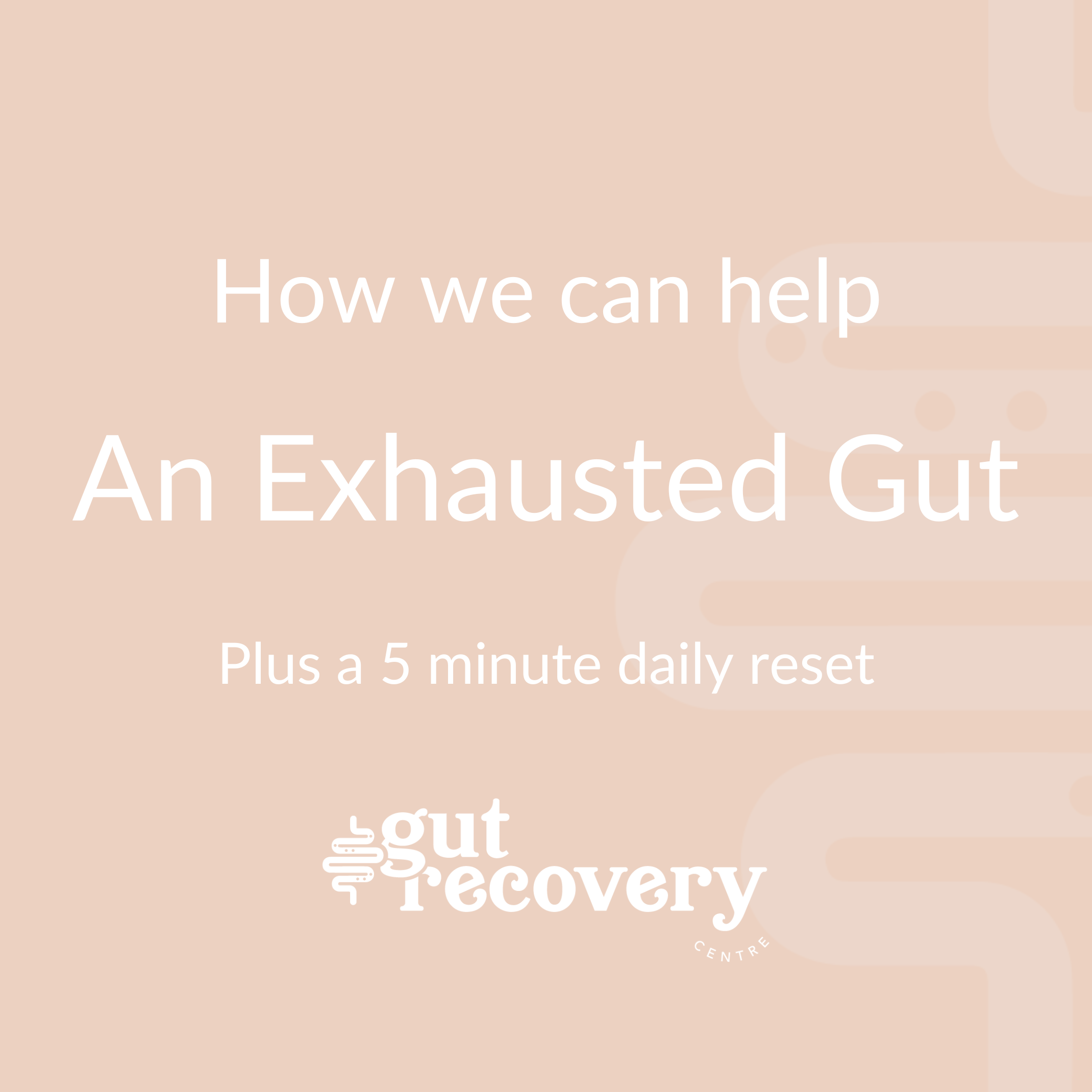The High-Functioning But Exhausted Gut