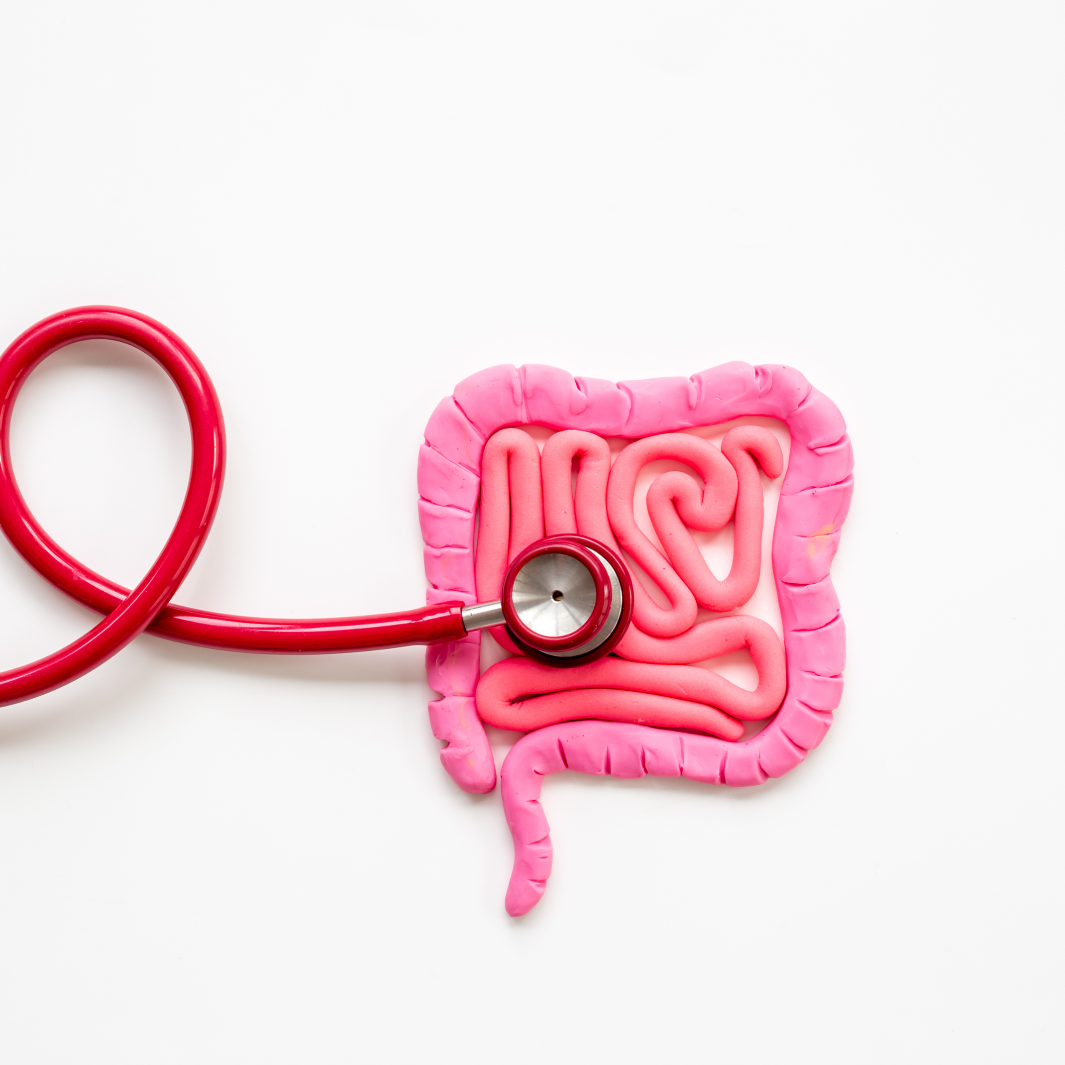 What Actually Is Your Gut?