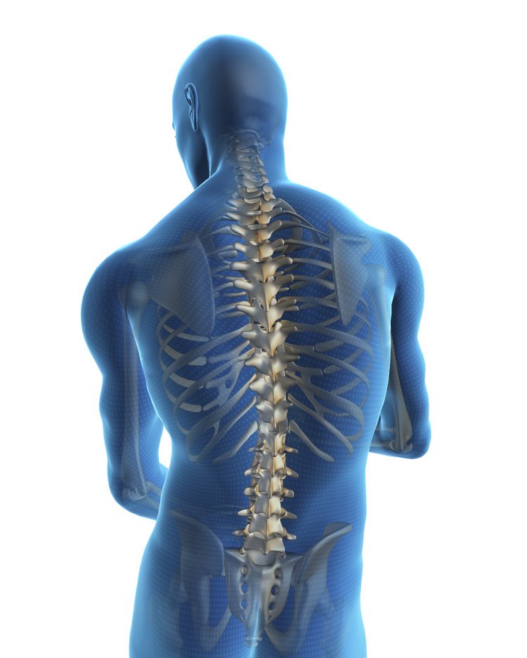 The Secret to a Healthy Back